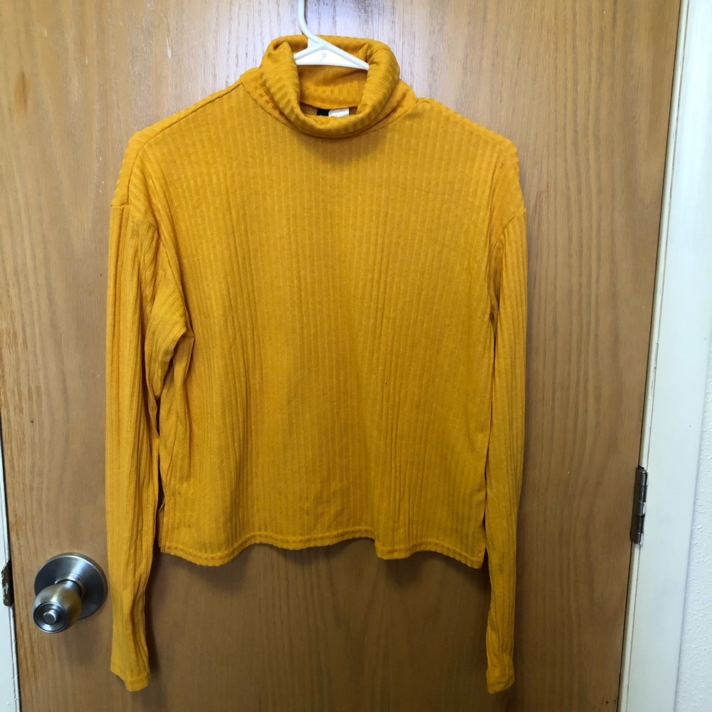 Turtleneck Sweater